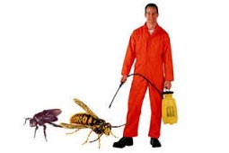 Pest Control West Delhi